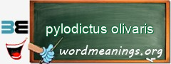 WordMeaning blackboard for pylodictus olivaris